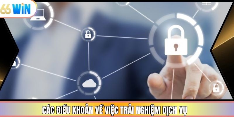 Các điều khoản về việc trải nghiệm dịch vụ