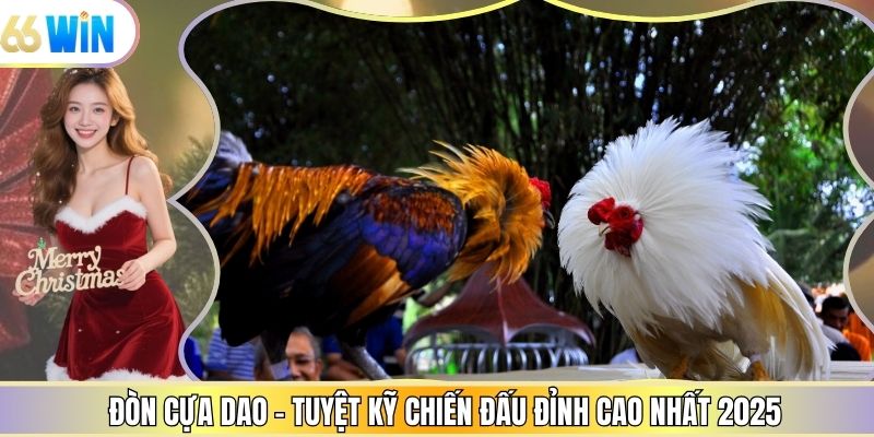 Đòn Cựa Dao - Tuyệt Kỹ Chiến Đấu Đỉnh Cao Nhất 2025