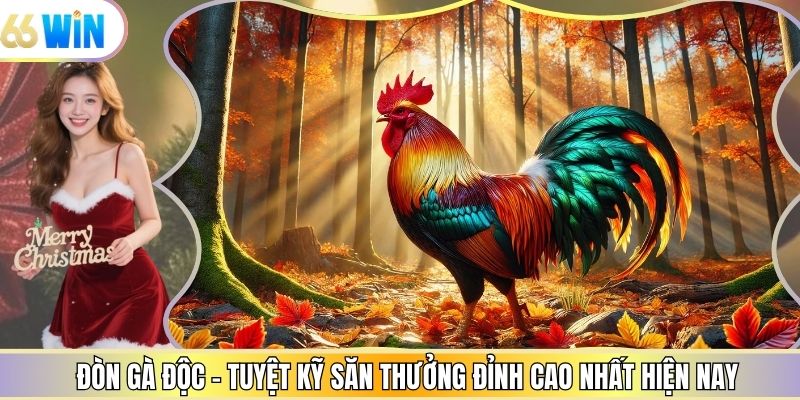 Đòn Gà Độc - Tuyệt Kỹ Săn Thưởng Đỉnh Cao Nhất Hiện Nay