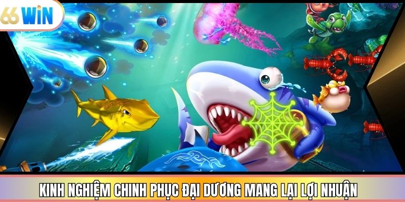 Kinh nghiệm chinh phục đại dương mang lại lợi nhuận