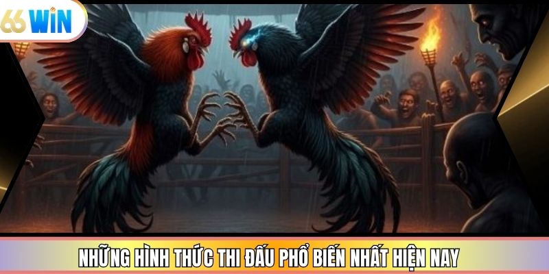 Những hình thức thi đấu phổ biến nhất hiện nay