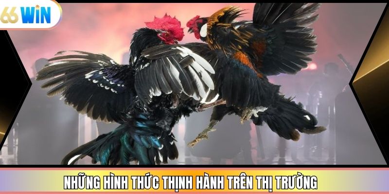 Những hình thức thịnh hành trên thị trường