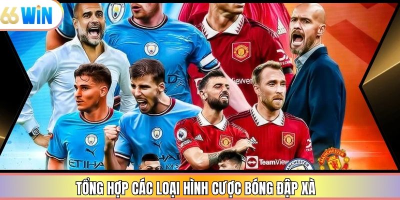 Tổng hợp các loại hình cược bóng đập xà