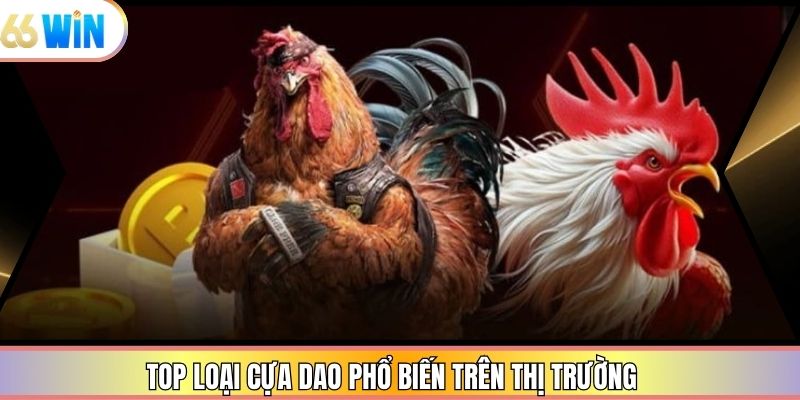 Top loại cựa dao phổ biến trên thị trường